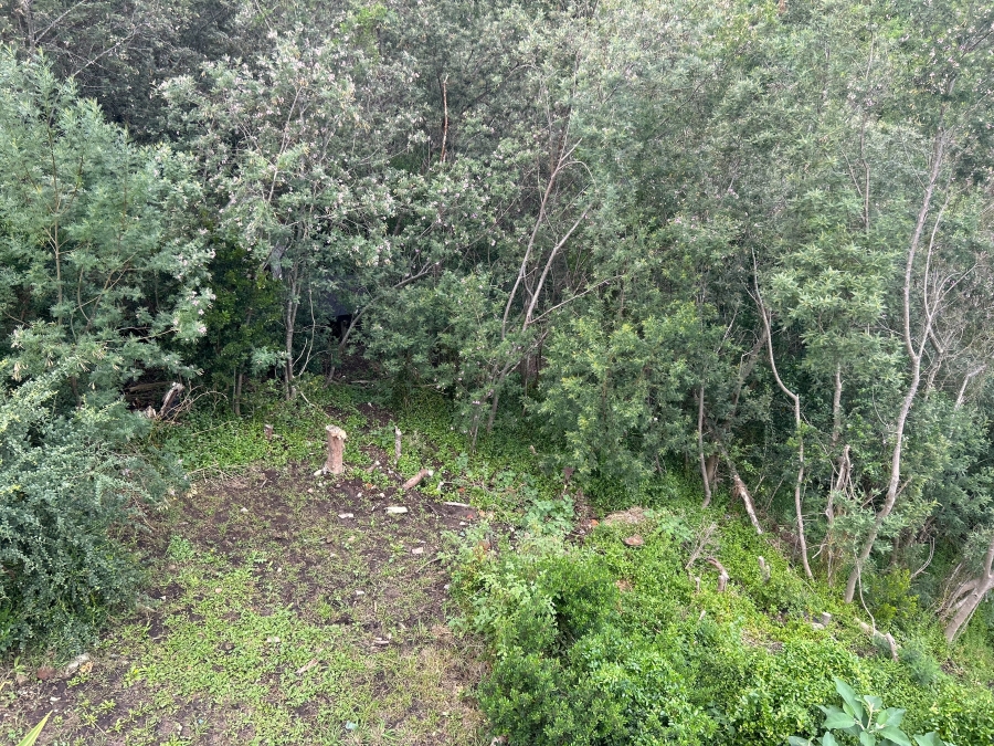 3 Bedroom Property for Sale in Knysna Heights Western Cape